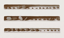 - METEORITS - 1998 PRINTING OUT PAPER 12X20 CM