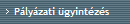 Plyzati gyintzs
