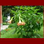 2004_0720Image0039.JPG