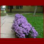 DSCF1582.jpg