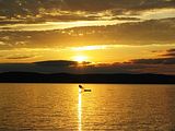 39_naplemente